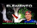 Elemento nag pakita sa puno ng mangga