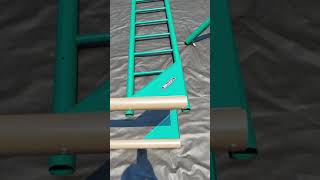 Lifetime Monkey Bar Adventure Swing Set 90143 Review