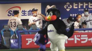 つば九郎の今までで一番成功に近い空中クルリンパ 2022.08.23 プロ野球ヤクルトスワローズvs広島カープ