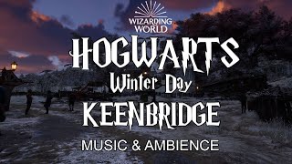 Keenbridge BEST Kept Secret for a Peaceful Winter Sleep | Harry Potter music and ambience