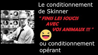 Question d'éthologie 4 : Réglez TOUS les soucis que vous avez avec vos chiens grâce à Skinner !!!