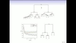 StatsLearning Chapter 8 - part 3