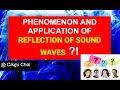 FORM 2 Science【Chapter 10.3 PHENOMENON AND APPLICATION OF REFLECTION OF SOUND WAVES】华语讲解#cikguchoi