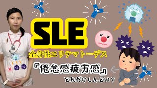 SLE全身性エリテマトーデス倦怠感疲労感は病気？抗核抗体⁇【実態】体内で起きているコト