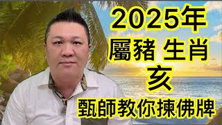 甄師教你揀(佛牌) #2025年 #屬豬生肖 #佛牌 #財運 #人際關係 #健康 #改變個人生命能量氣場