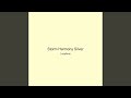 Storm Harmony Silver
