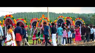 വാഴാലിക്കാവ് പൂരം 2024 || Vazhalikkavu Pooram 2024