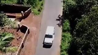 The Sky view drone shot of an elephant in Masth entering Aralam at  Iritty area in Kannur dt of Kera