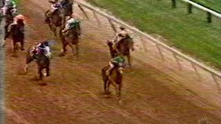 Pimlico Horse Racing Commercial 1985
