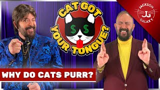 Why Do Cats Purr? | What Cat Purring REALLY Means | Jackson Galaxy