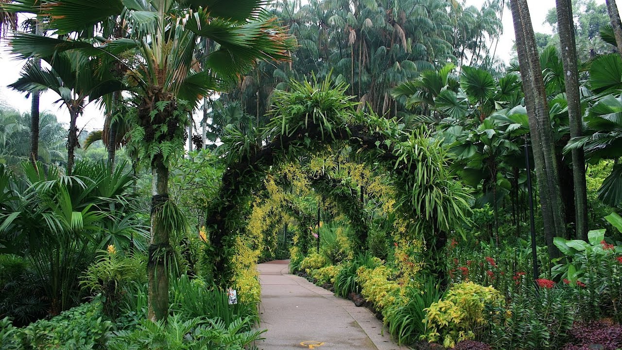 Visiting The Botanic Gardens | Singapore Travel - YouTube