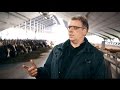 Testimonial - Bert Versteeg, The Netherlands - Nedap Cow Positioning (EN)