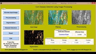 Corn Disease Detection using Image Processing