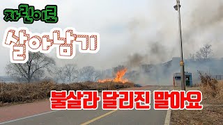 자전거 백수 | 자린이로 살아남기 2