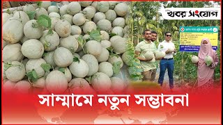 গারো পাহাড়ে মরুভূমির সাম্মাম | Sammam | Agriculture | Khobor Sangjog