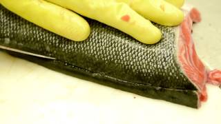 San-Mai Ni Orosu | Japanese Style Filleting | Seafood Recipes