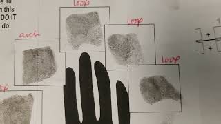 How to do Primary Classification of FP