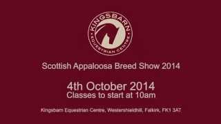 Scottish Appaloosa Breed Show 2014