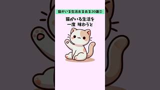 猫がいる生活あるある20選③！猫好きさんは共感と涙が止まらなくなる！ #猫 #雑学 #豆知識