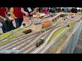 model expo italy 2024 a verona modellismo ferroviario u0026 non solo