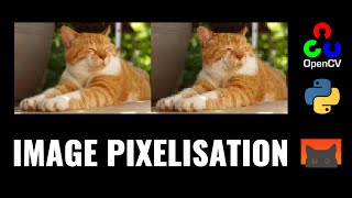 Image Pixelisation with OpenCV