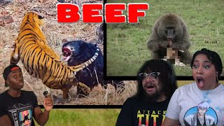 The Most Savage Generational Rivalries in the Animal Kingdom! | Casual Geographic REACTION!