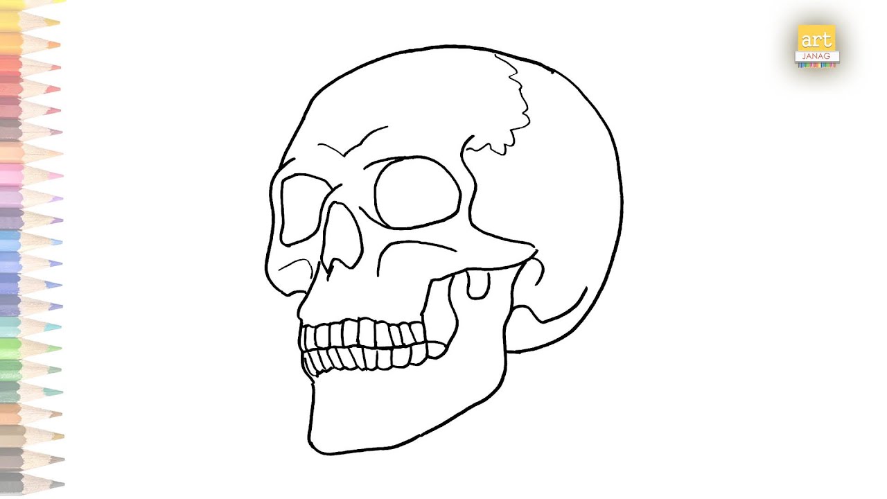 Easy Human Skull Drawing 50 Skull Drawings Sketches For Art