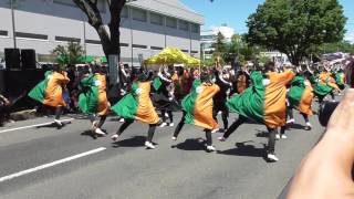 「笑゛」さん　1回目　ケヤキ会場　豊川おいでん祭2017.5.27