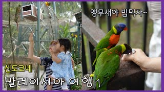 말레이시아여행ㅣ쿠알라룸푸르의 미슐랭 추천 식당에서 치킨라이스를 먹고 KL 새공원을 구경하기 [한일부부/日韓夫婦]