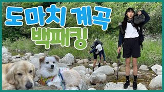 [4K] 도마치 계곡 백패킹! 지금 안가면 100% 후회합니다(feat. 걸어서 인기스팟까지 가는법)