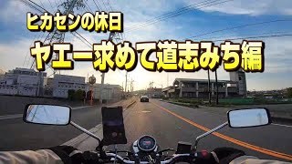 【Vlog】ヤエー求めて道志みち編【ヒカセンの休日】【MotoVlog】