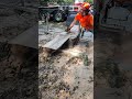 milling maple log with Alaskan chainsaw mill #shortsvideo