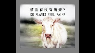 植物有沒有痛覺？難道植物不是生命嗎？Do Plants Feel Pain?