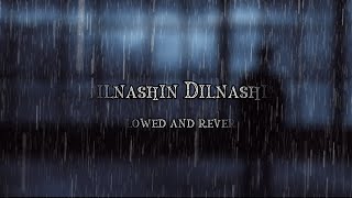 Dilnashin Dilnashin song | [Slowed+Reverb] 🎧| k.k | Chilling Vibes
