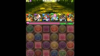 【パズドラ】　光の戦国龍 超級 ホルスPT ノーコン