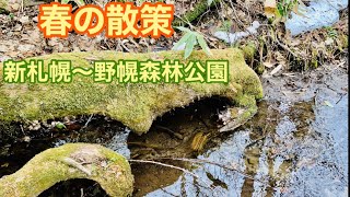 【JR北海道バスで札幌〜野幌森林公園で春の自然散策】