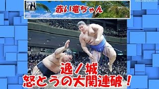 【大相撲秋場所】　逸ノ城　怒とうの大関連破！１００年ぶり新入幕優勝いける