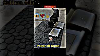 Catholic React To Cats Would Not Walk On The Quran (Experiment)#shorts#allah #youtube #500subs#viral