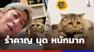 คลิปไวรัลร้องเพลงยังไงให้แมวรำคาญ หนีรอบห้อง | Social Viral | ข่าวช่อง8