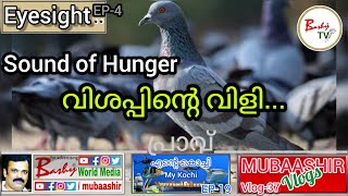 വിശപ്പിന്റെ വിളി...l പ്രാവ് | Sound of Hunger | Pigeon Feeding l shorts l Eyesight 👀 l Bashy TV