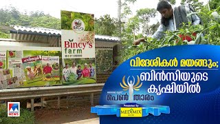 ഒരു മോഡേണ്‍ കൃഷിക്കഥയുമായി കട്ടപ്പനയില്‍ നിന്നും വീട്ടമ്മ |vegetable garden |Pentharam