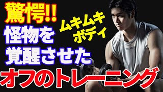 【大谷翔平 】専門家も驚愕するオフのトレーニング。怪物を覚醒させた最先端スポーツ科学　[ 大谷 翔平 ]”ムキムキ”ボディ『脅威のトレーニング方法』