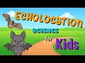 Echolocation | Science for Kids