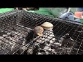 【バーベキュー】アサリを浜焼きにしてみた【bbq】