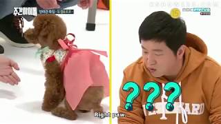 [ENG SUB] Weekly Idol Episode 336