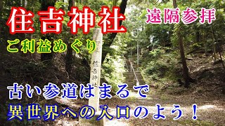 【住吉神社参拝】古い参道はまるで異世界への入口のよう！　心落ち着く素敵な神社　※遠隔参拝