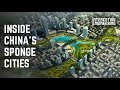 The genius of China's sponge cities