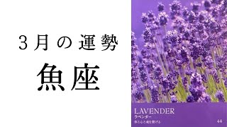 【魚座🌞3月の運勢】待ちわびた最強月間❤️‍🔥願望成就の素晴らしい流れ✨2025年タロット占い