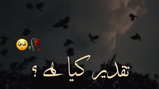 Taqdeer kya hai ? || Islamic status || Urdu true words || Islamic WhatsApp status || Zaid Writex
