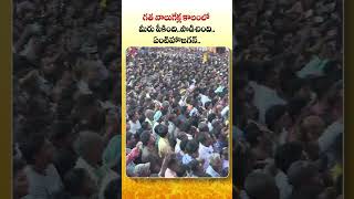 నాలుగేళ్లలో మీరు పీకిందేంటి జగన్ | #psychopovalicycleravali #YuvagalamPadayatra #Yuvagalam